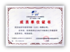 资质6